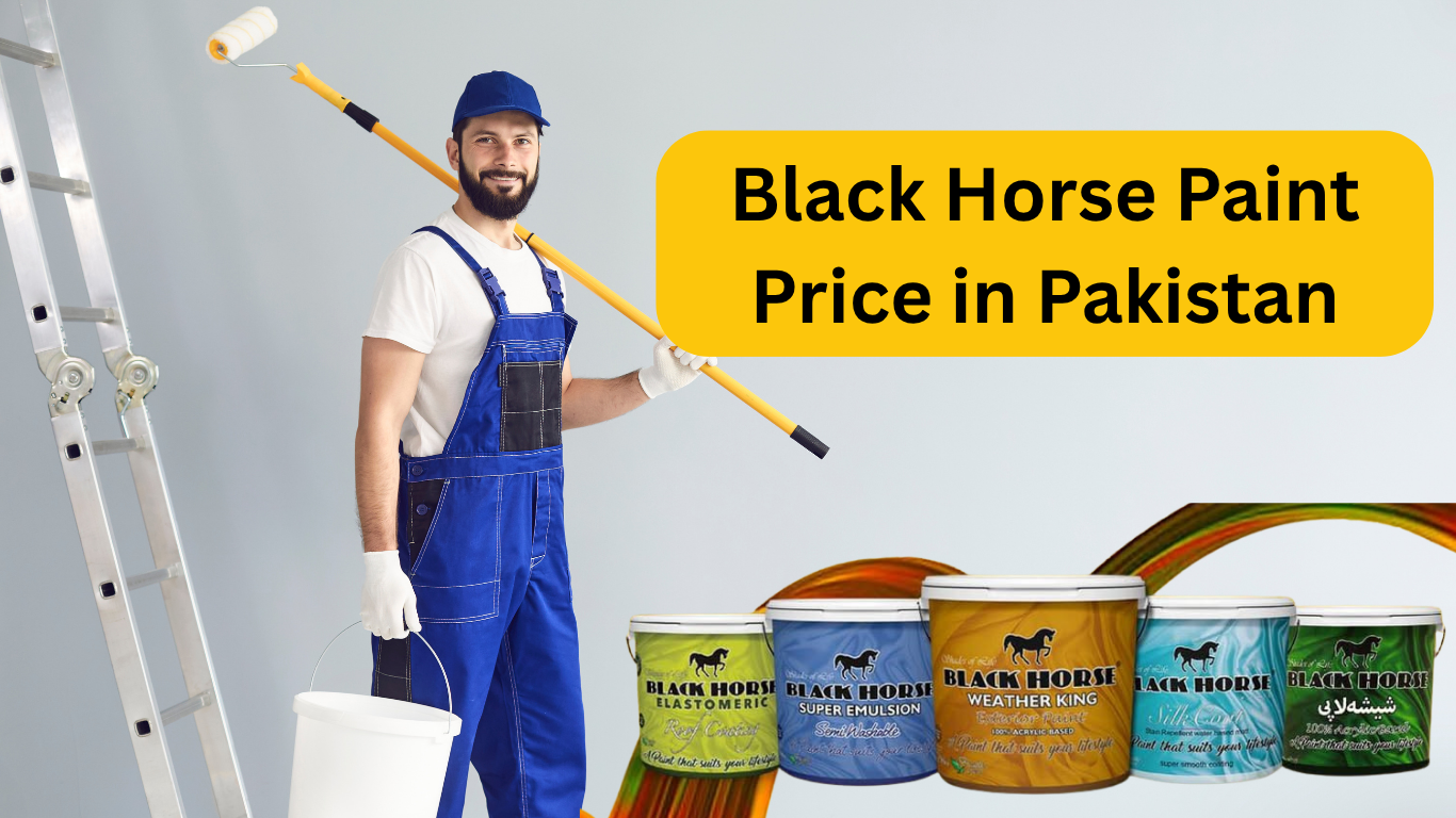 Black Horse Paint Price in Pakistan